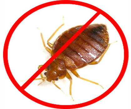 Bedbug control - Pestrification Solutions LLP