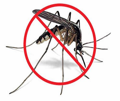 Mosquito control - Pestrification Solutions LLP