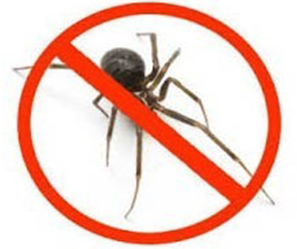 Spider control - Pestrification Solutions LLP