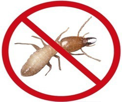 Termite control - Pestrification Solutions LLP